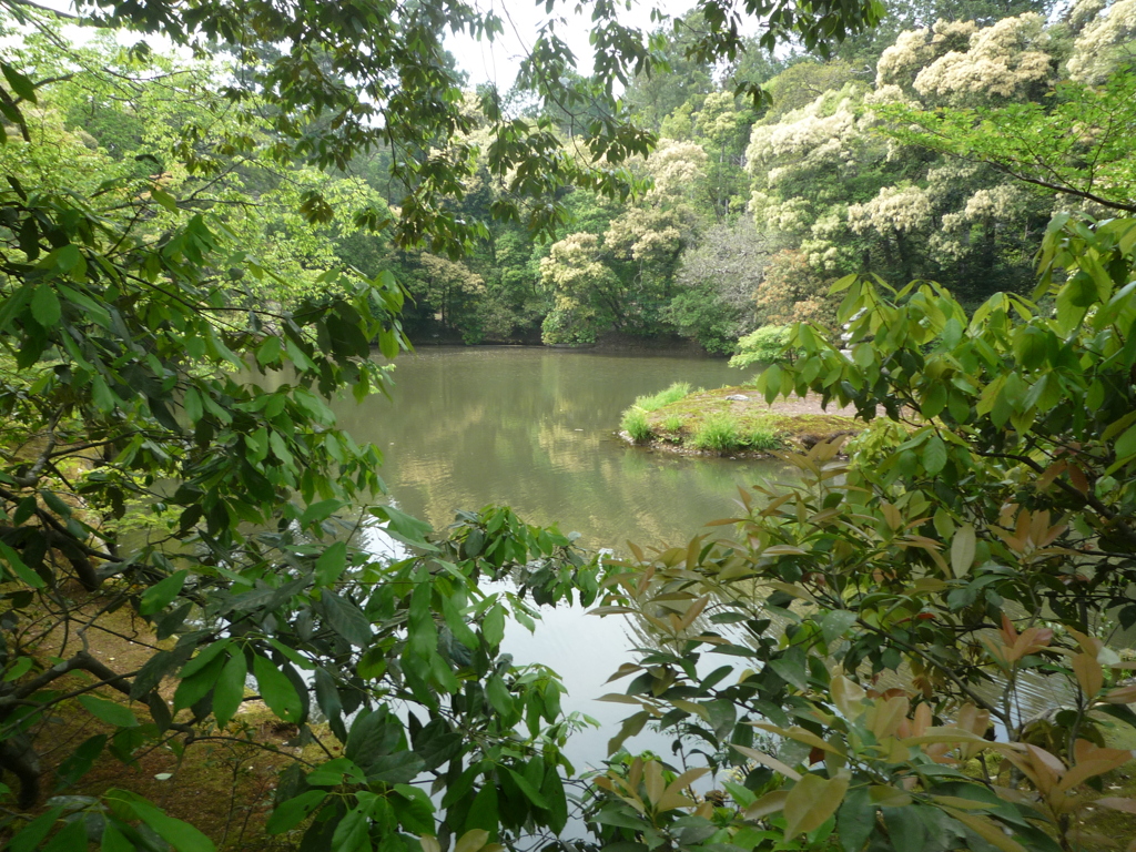 草の中から