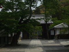 京都
