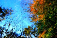 水面キャンパス・・・印象派風「秋の情景」
