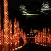 みずあかり１　～竹灯籠と熊本城、加藤清正像～