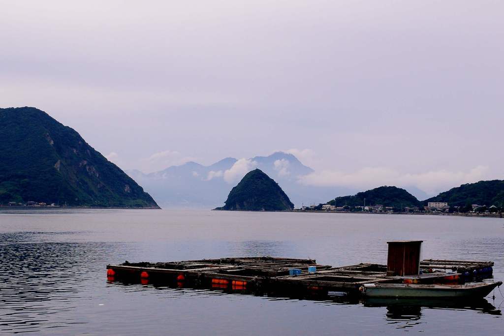 普賢岳を望む