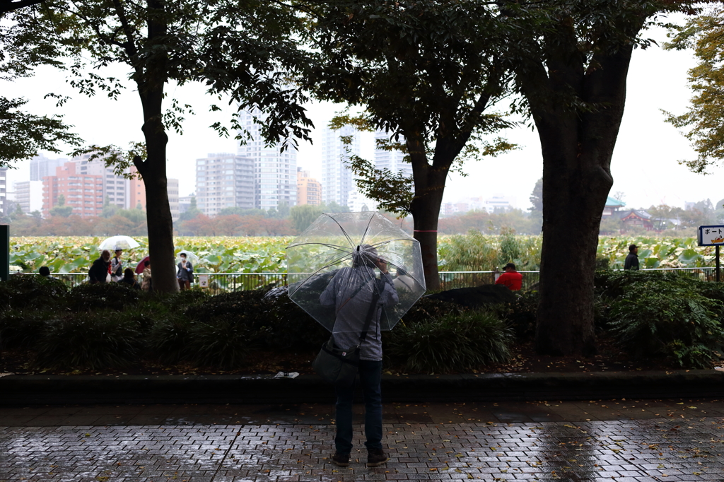 雨の日