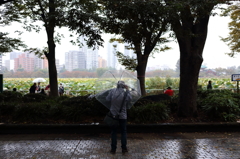 雨の日