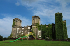 根岸森林公園と周辺