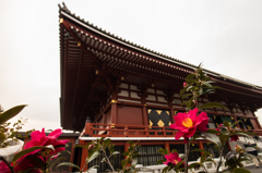 東京散歩@浅草#6