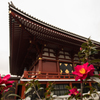東京散歩@浅草#6