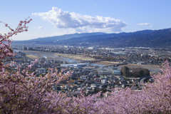 松田山からの眺め