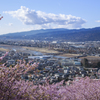 松田山からの眺め