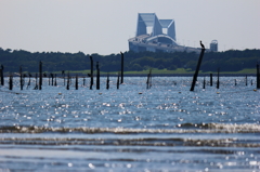 葛西臨海公園_5