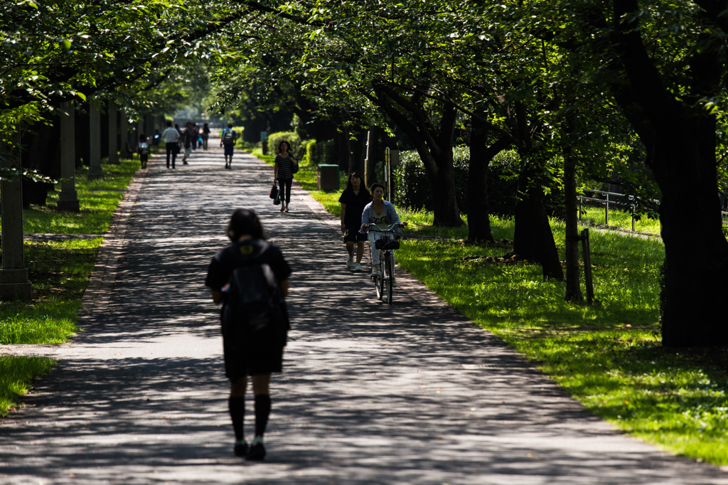 夏の公園