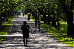 夏の公園