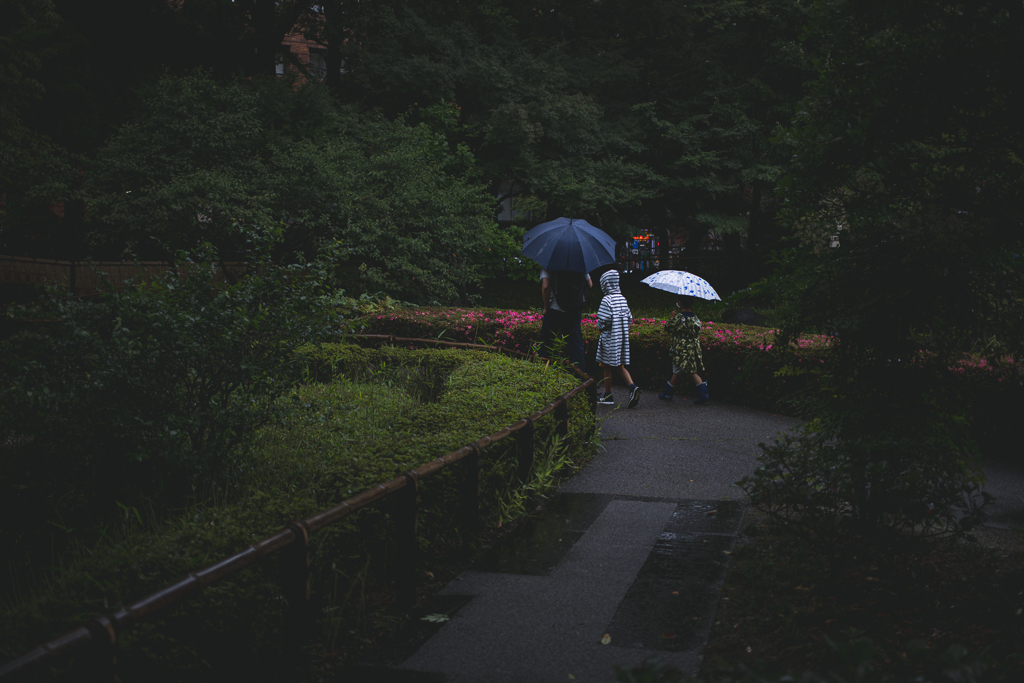 雨の日