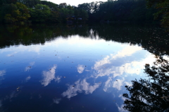 公園風景_石神井公園