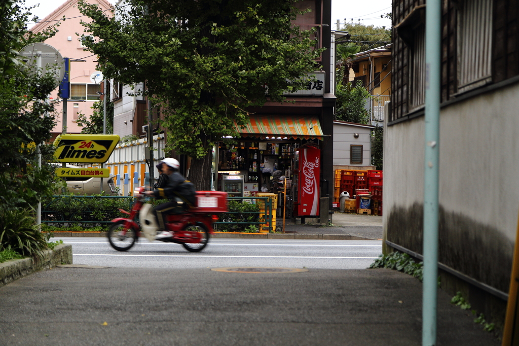 護国寺、雑司が谷周辺散策