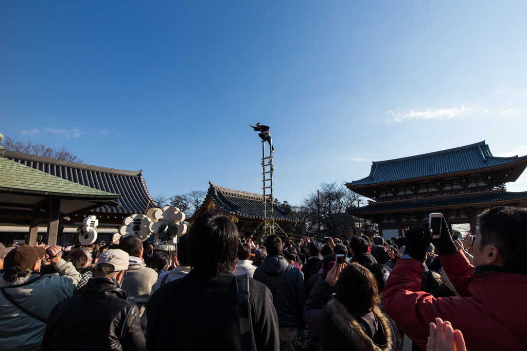 池上本門寺　はしご乗り奉納#1