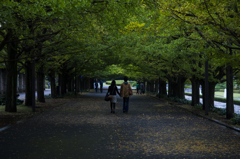 雨の公園