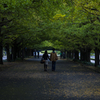 雨の公園