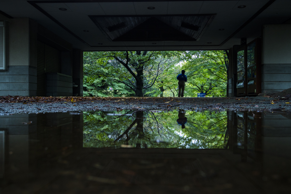 雨の公園