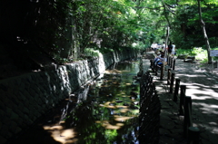 等々力渓谷－２