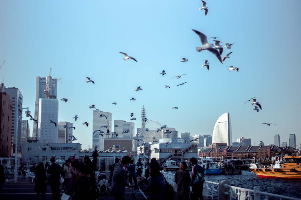 YOKOHAMA