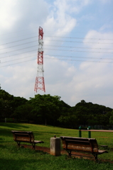 多摩永山周辺散歩９