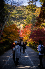 秋の京都・二尊院