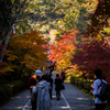 秋の京都・二尊院