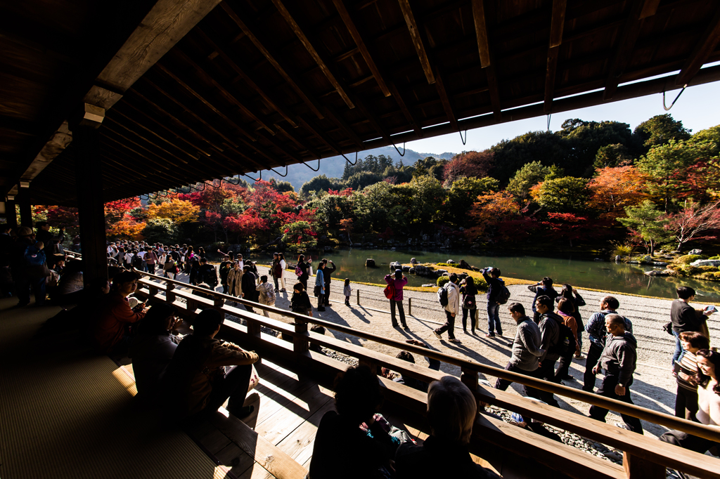 秋の京都・天龍寺