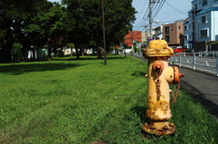 根岸森林公園と周辺