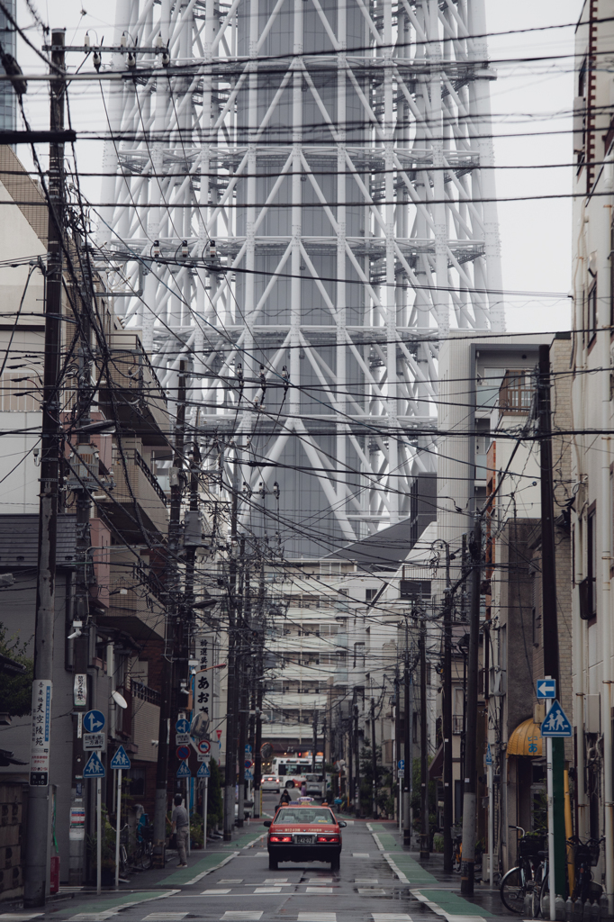 ツリーのある街