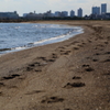 葛西臨海公園_1