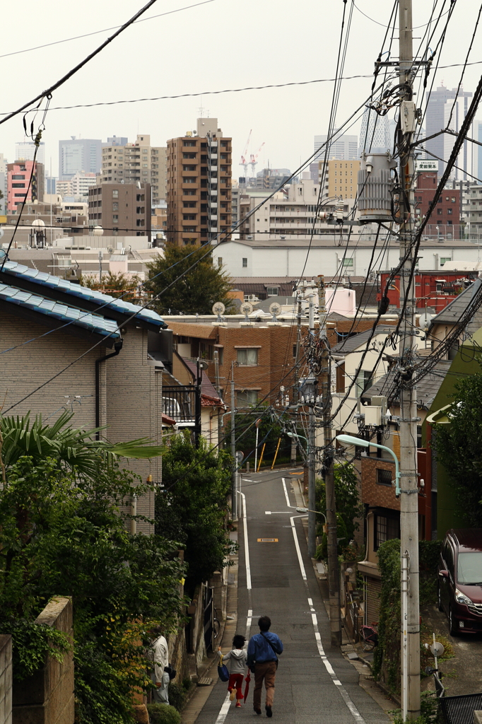 護国寺、雑司が谷周辺散策