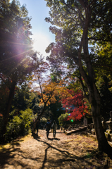 秋の京都・二尊院