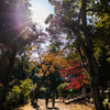 秋の京都・二尊院