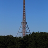 葛西臨海公園_3