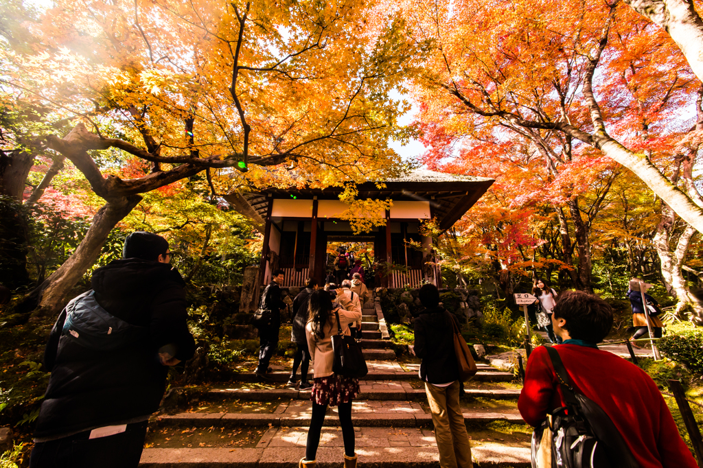 秋の京都・常寂光寺