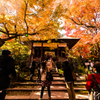秋の京都・常寂光寺