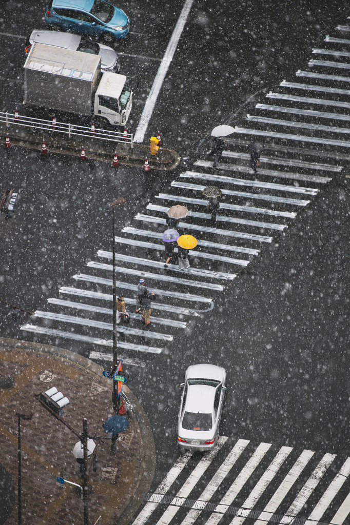 雪の日