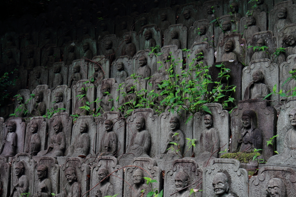 目黒周辺散策　大円寺