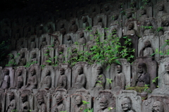 目黒周辺散策　大円寺