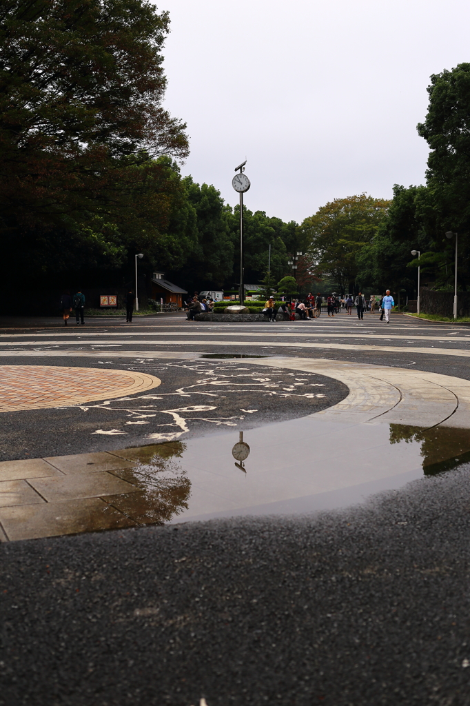 雨上がりの公園
