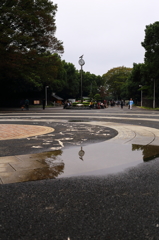 雨上がりの公園