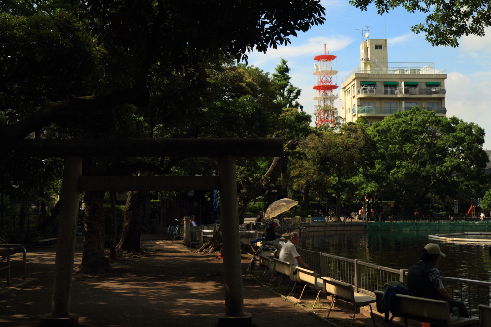 目黒周辺散策　清水池公園