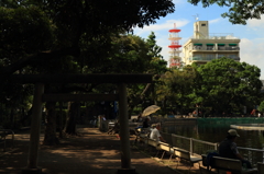 目黒周辺散策　清水池公園
