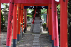 ご近所散歩５