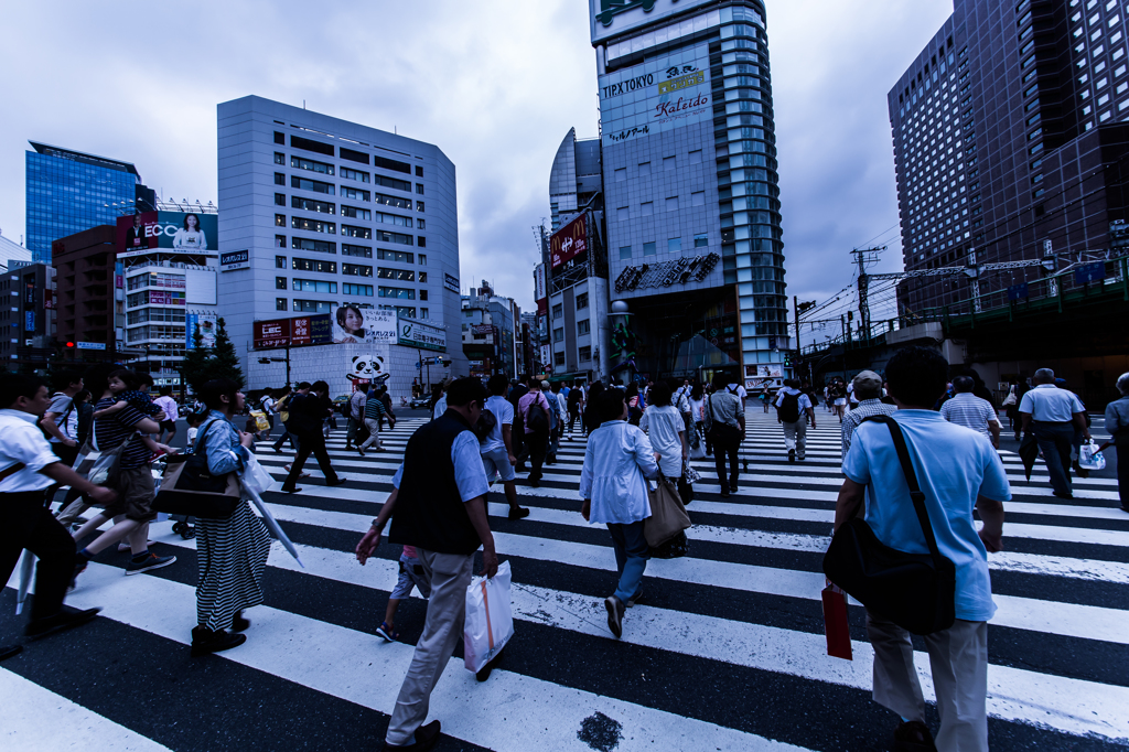 新宿曇り#6