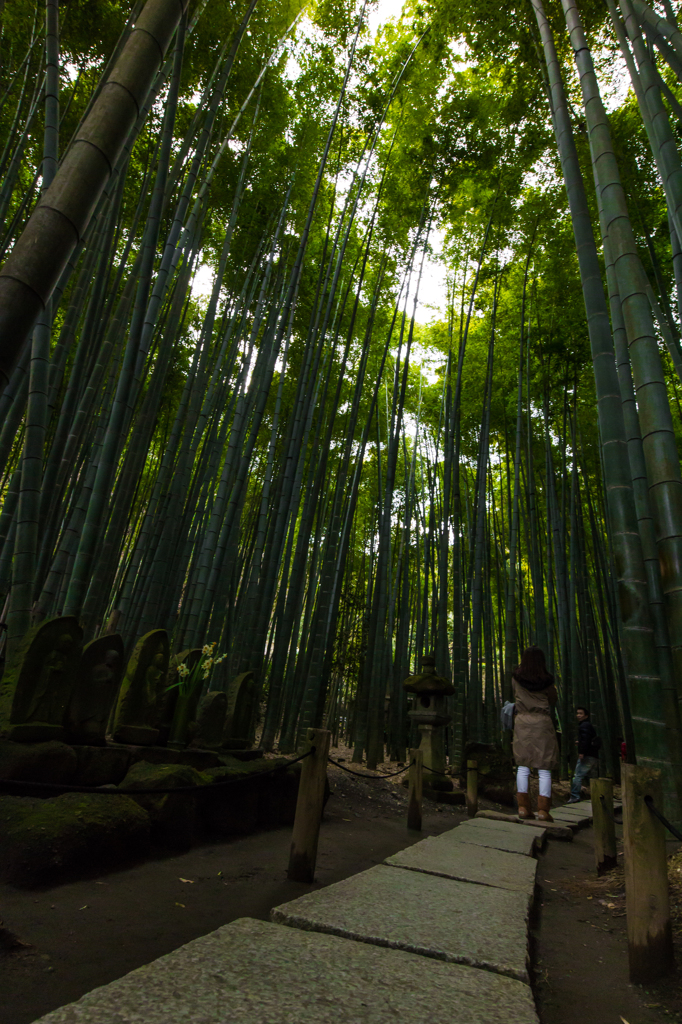 鎌倉散歩@報国寺#1