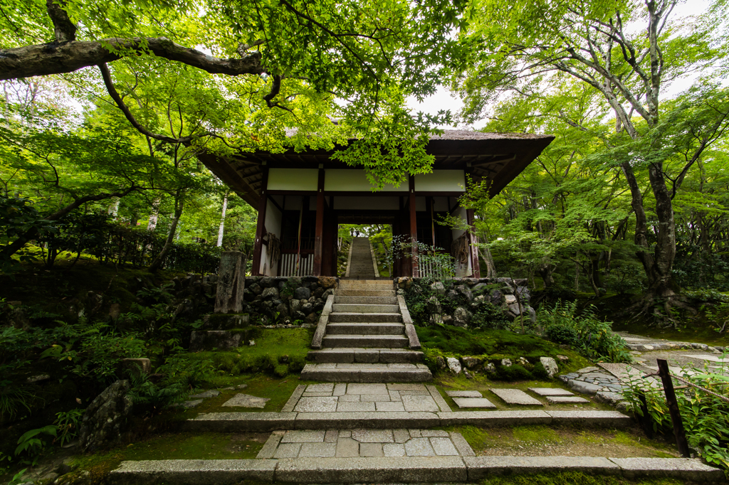 京都旅行#26