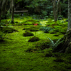 京都旅行#30