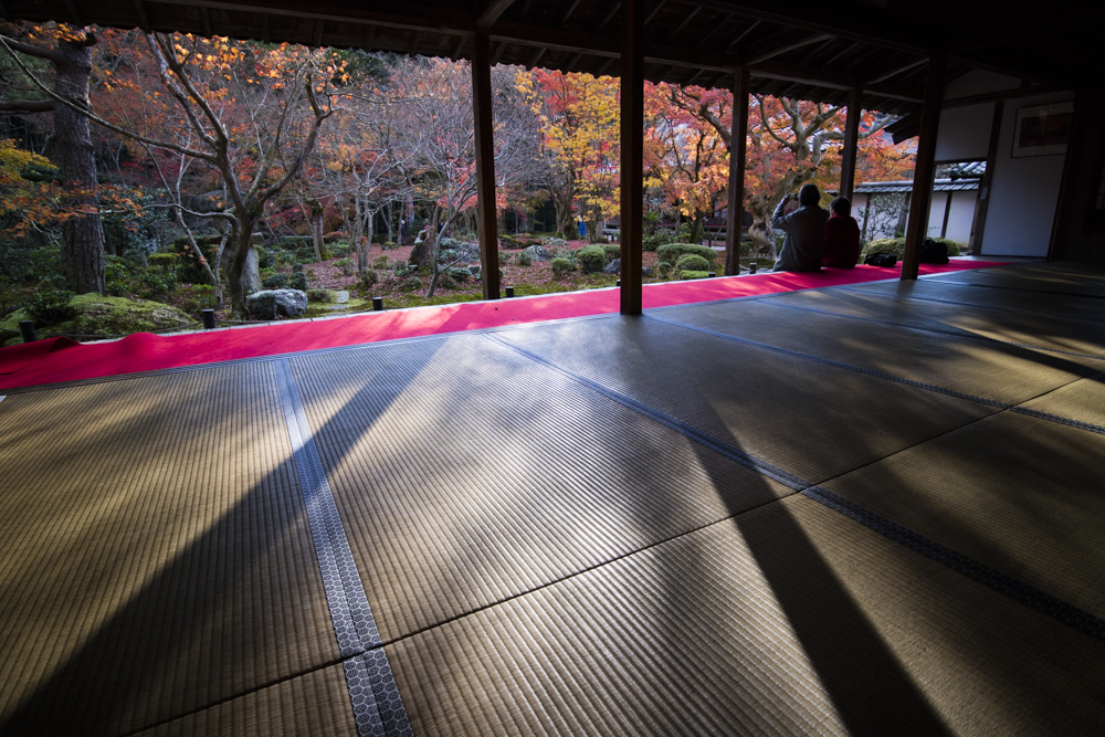 晩秋の京都